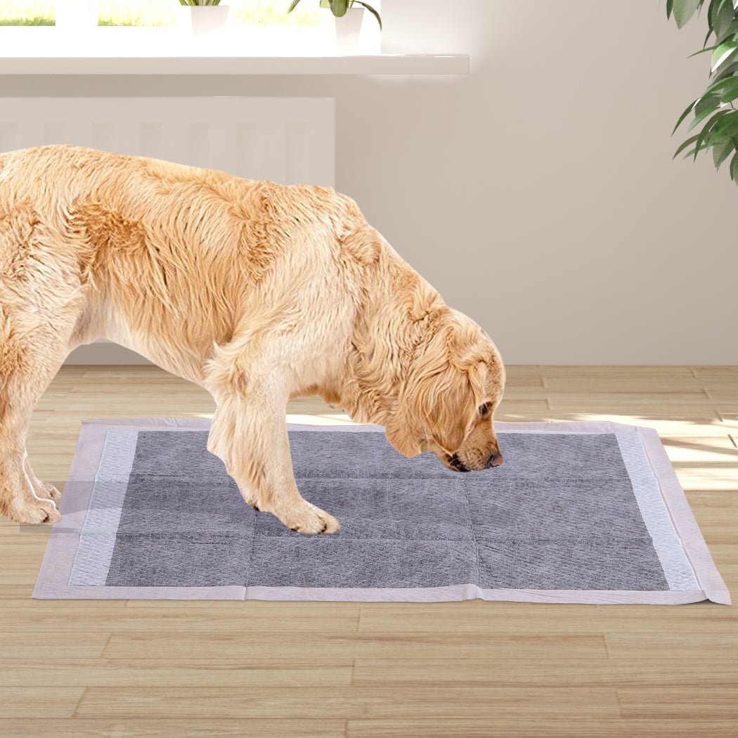 400 Pcs 60x60cm Charcoal Puppy Pet Training Pads - Charcoal - Rivercity House & Home Co. (ABN 18 642 972 209) - Affordable Modern Furniture Australia