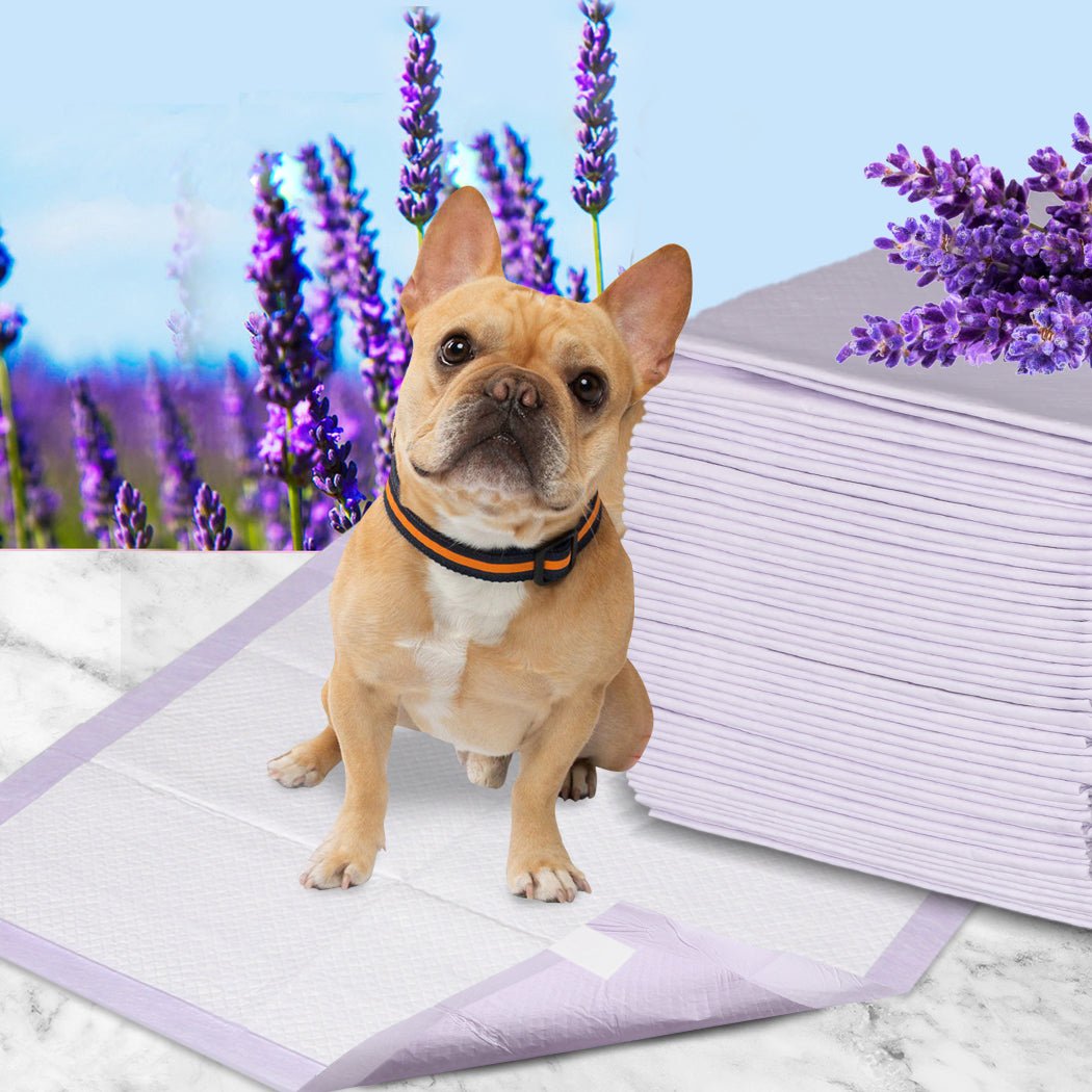 400x Pet Dog Toilet Training Pads with Lavender Scent - White - Rivercity House & Home Co. (ABN 18 642 972 209) - Affordable Modern Furniture Australia