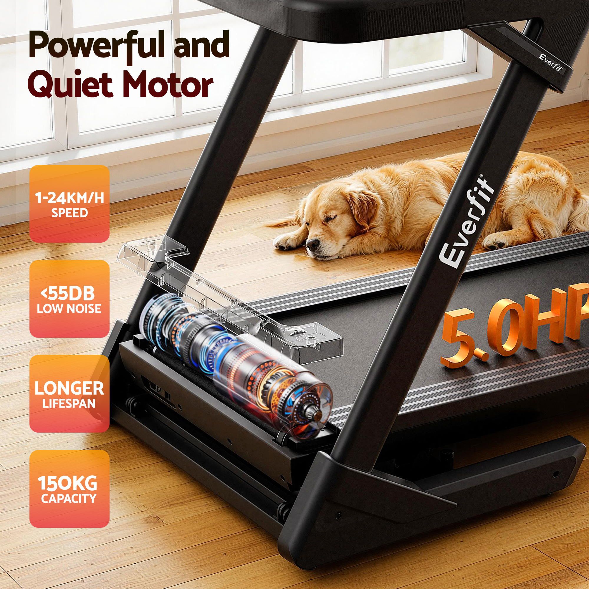 500mm Wide Belt Treadmill 30% Auto Incline Foldable Treadmills for Home with LED Lights - Sports & Fitness > Exercise, Gym & Fitness > Treadmills - Rivercity House & Home Co. (ABN 18 642 972 209) - Affordable Modern Furniture Australia
