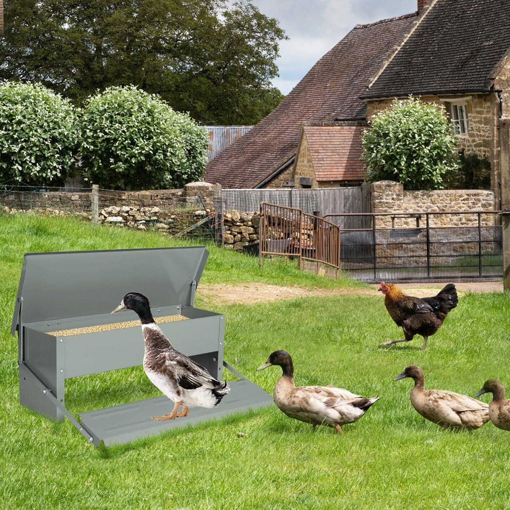 5KG Automatic Chicken Feeder with Large Capacity - Silver - Rivercity House & Home Co. (ABN 18 642 972 209) - Affordable Modern Furniture Australia