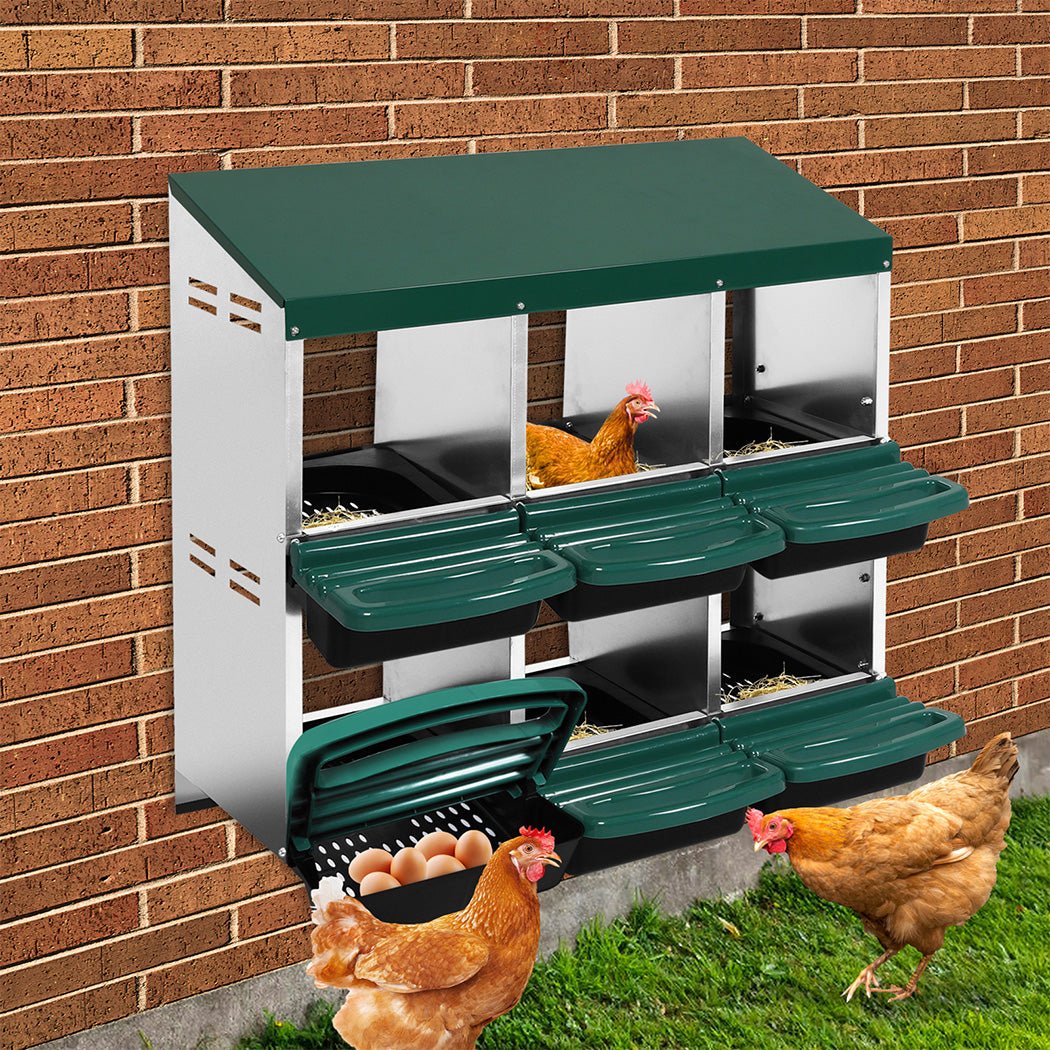 6 - Hole Chicken Egg Nesting Box with Galvanized Steel Hutch - Green - Rivercity House & Home Co. (ABN 18 642 972 209) - Affordable Modern Furniture Australia