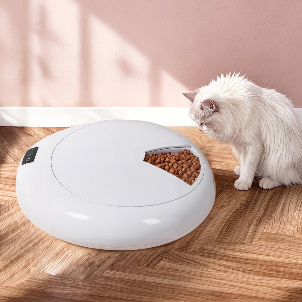 6 - Meal Automatic Smart Pet Feeder with Timer and Cooling - White - Rivercity House & Home Co. (ABN 18 642 972 209) - Affordable Modern Furniture Australia