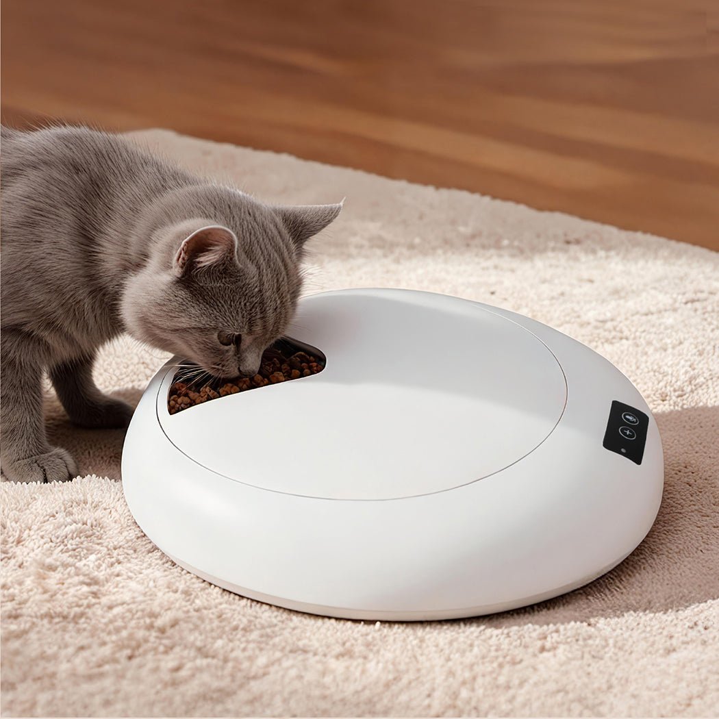 6 - Meal Automatic Smart Pet Feeder with Timer and Cooling - White - Rivercity House & Home Co. (ABN 18 642 972 209) - Affordable Modern Furniture Australia