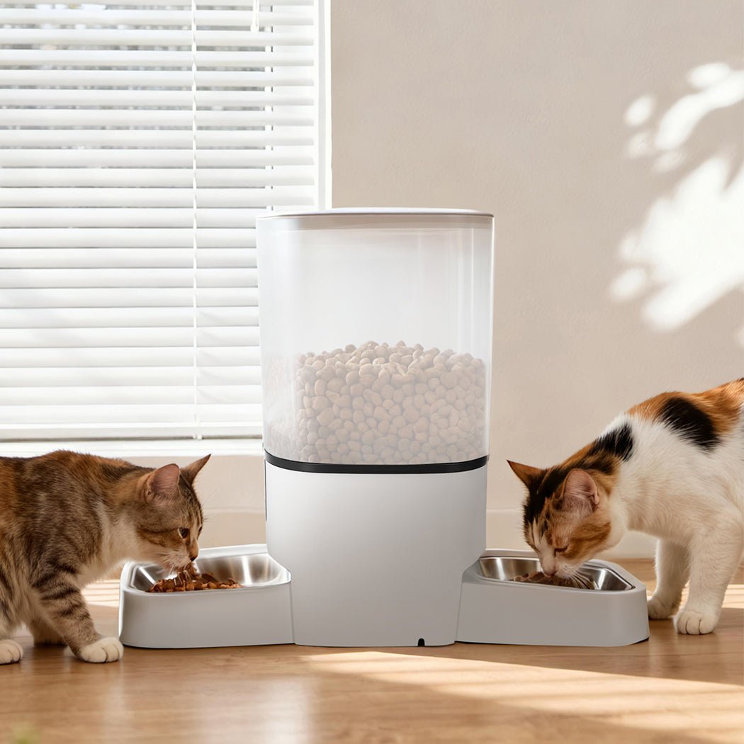6L Automatic Dual Bowl Pet Feeder with WiFi App Control - White - Rivercity House & Home Co. (ABN 18 642 972 209) - Affordable Modern Furniture Australia