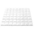800GSM Goose Down Feather Quilt Double Winter Duvet - White