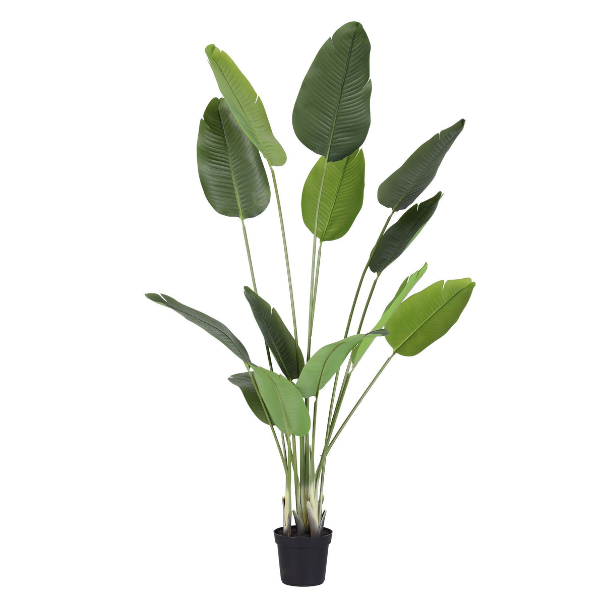 180cm Artificial Bird of Paradise Plant with Lifelike Textured Leaves – Green