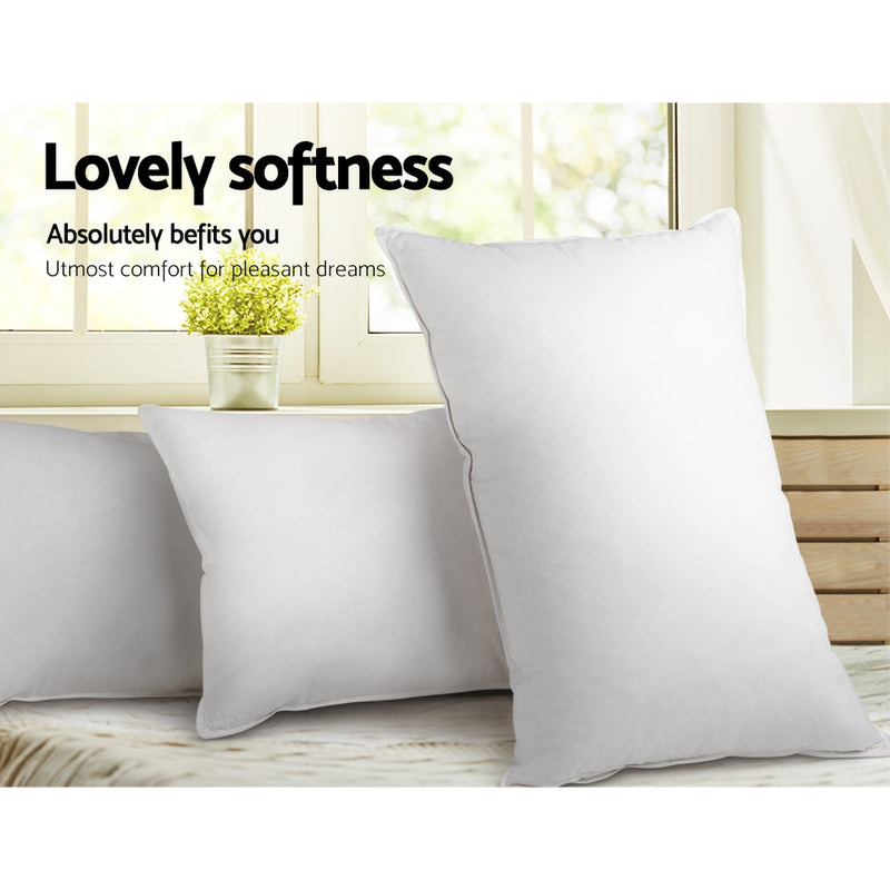 Set of 2 Duck Down Pillows - White