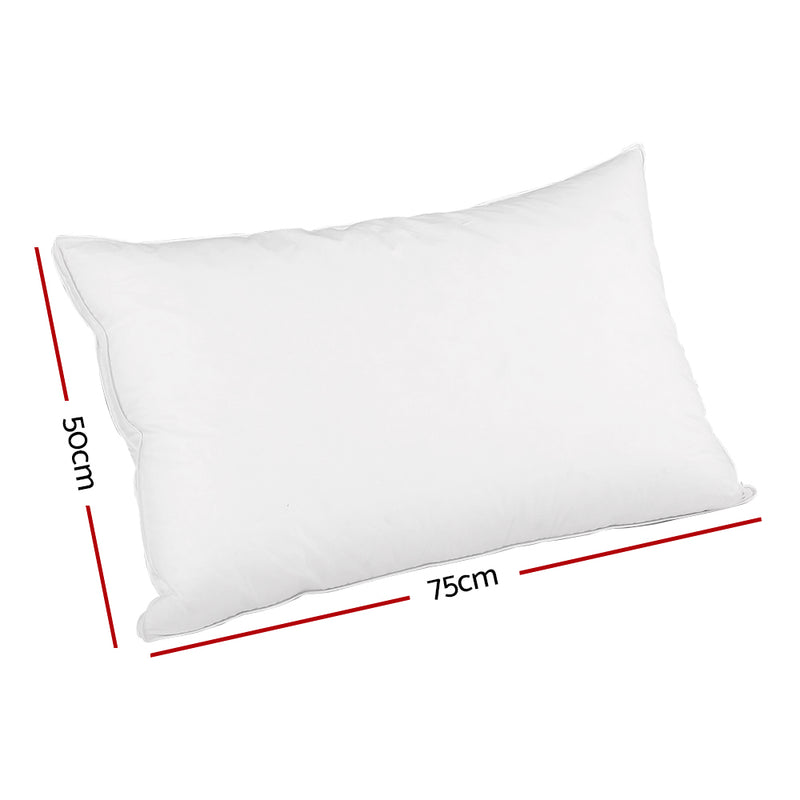 Goose Feather Down Twin Pack Pillows