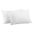 Set of 2 Goose Feather and Down Pillows - White