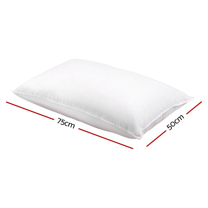 Set of 2 Goose Feather and Down Pillows - White