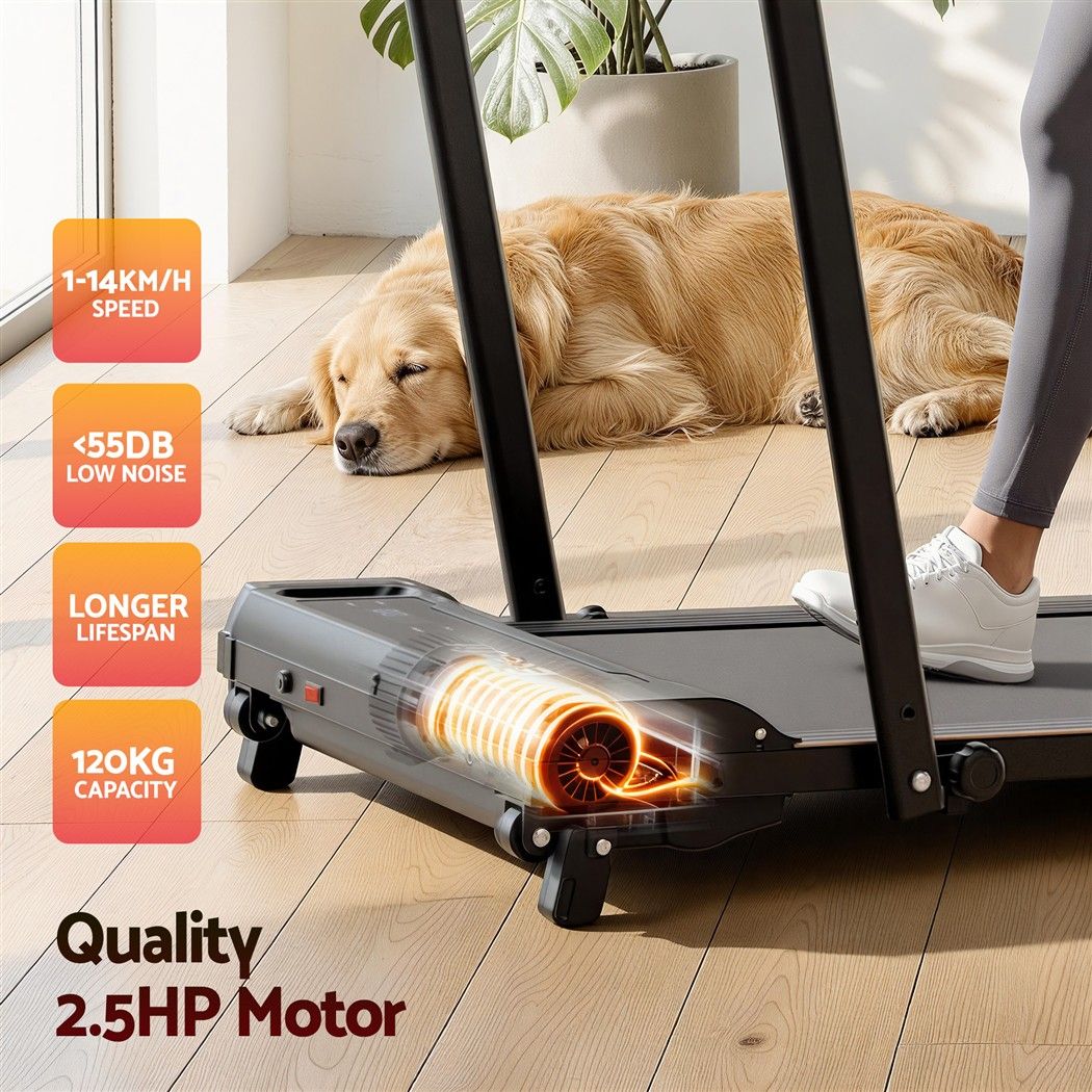 3 in 1 Walking Pad Treadmill 12% Incline Foldable Under Desk Treadmills for Home Gym With 40cm Wide Belt Black