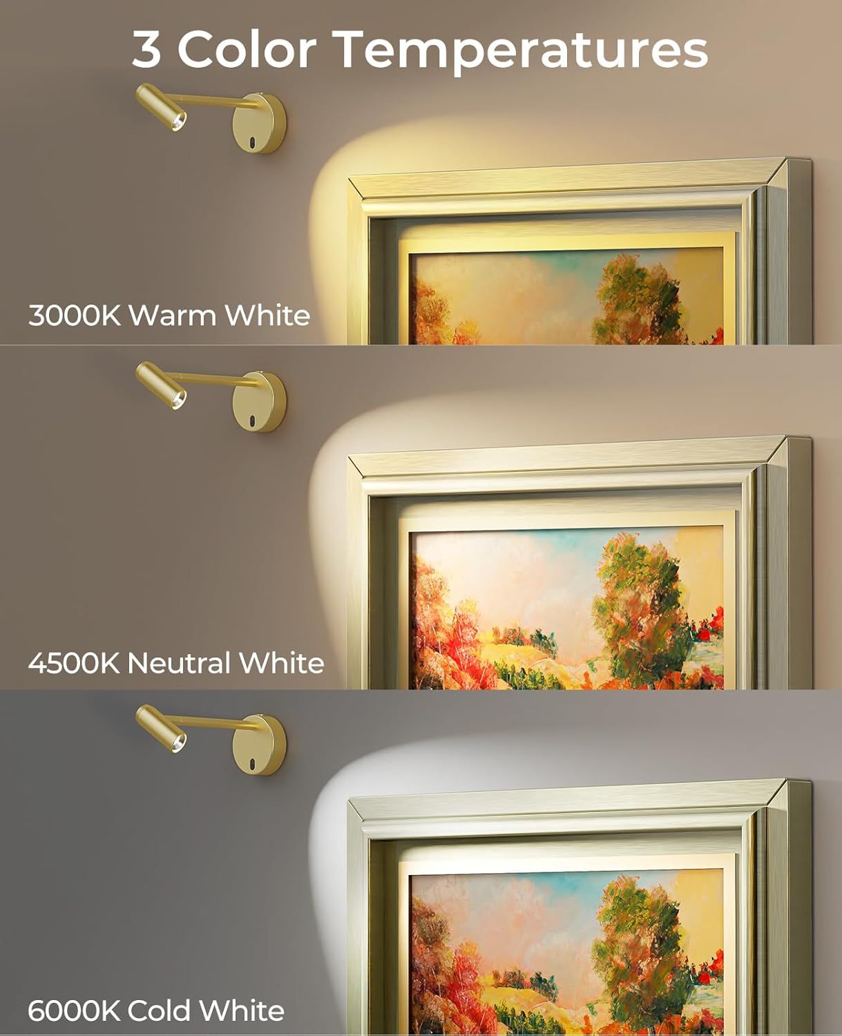 Battery Operated Dimmable Picture Light for Wall with Remote Control - Metallic