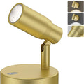 Rechargeable Indoor Dimmable CCT Spot Light with Remote and Timer, 6000mAh Battery - Gold