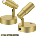 Rechargeable Indoor Spot Light with Remote, Dimmable CCT, Timer & 6000mAh Battery - Gold