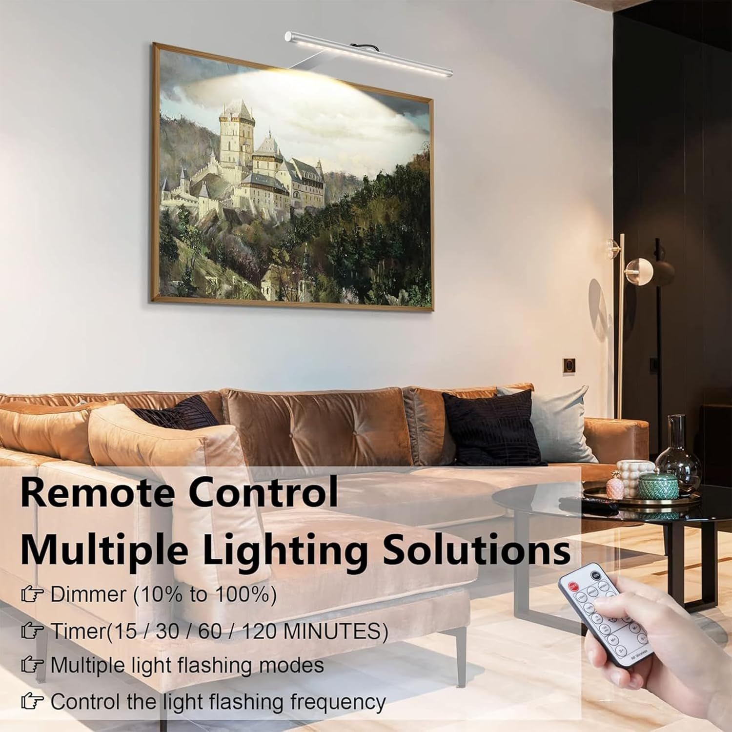 13.5in LED Picture Light for Wall Plug-In or Hardwired with Remote, 3000K Warm White Dimmable Timer - Silver