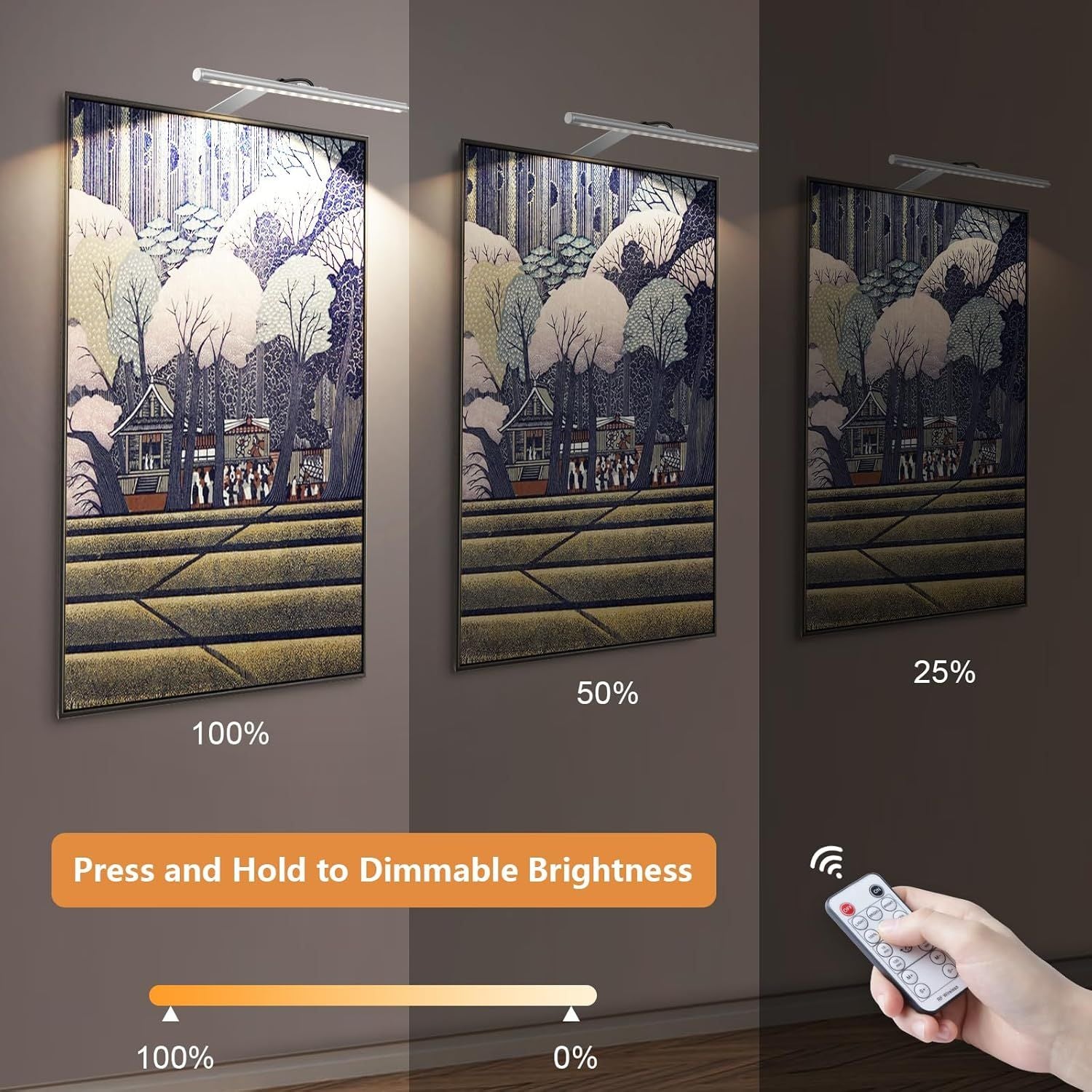 13.5in LED Picture Light for Wall Plug-In or Hardwired with Remote, 3000K Warm White Dimmable Timer - Silver