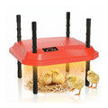 Chick Brooder Heating Plate Adjustable Height Chicken Heater - Red