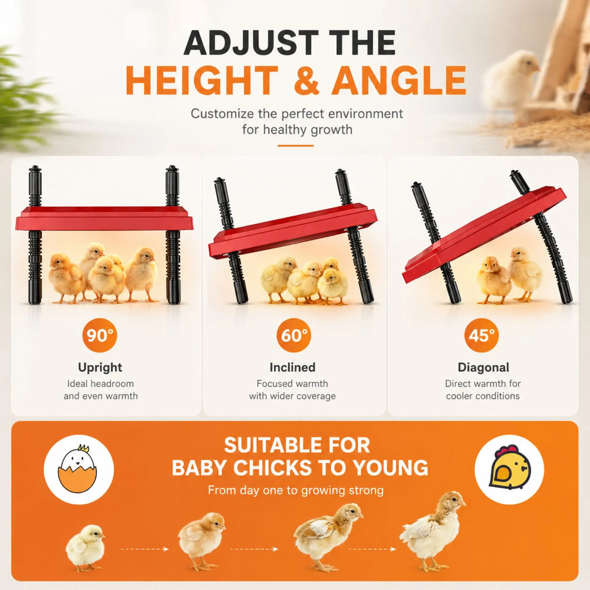 Chick Brooder Heating Plate Adjustable Height Chicken Heater - Red