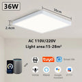 Smart LED Ceiling Lamp with Voice Control for Alexa