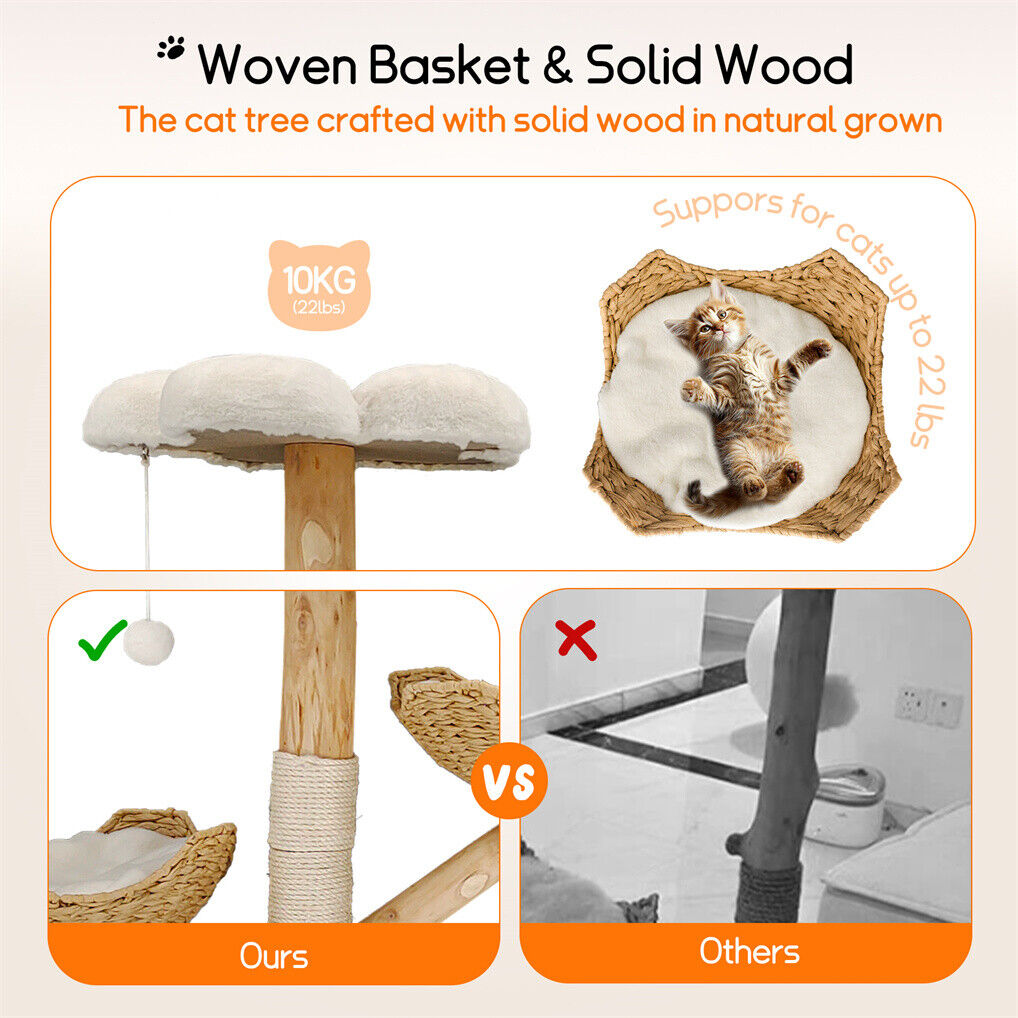 Cat Tree Scratcher with Plush Cushion, Sisal Posts & Willow Wood Basket