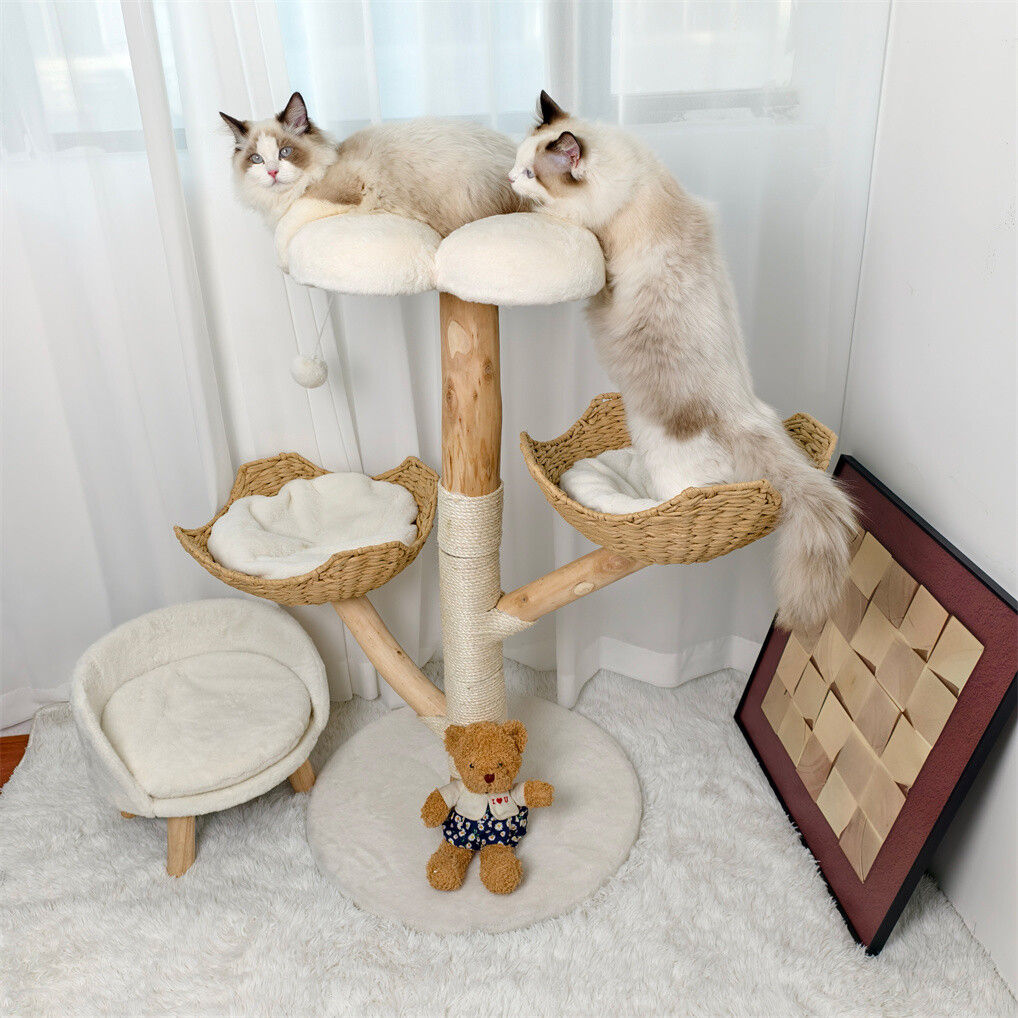 Cat Tree Scratcher with Plush Cushion, Sisal Posts & Willow Wood Basket