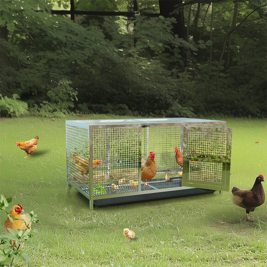 Stainless Steel XL Chicken Coop House