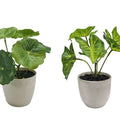 Set of 2 Artificial Taro & Lotus Plants in Plastic Pots 7x15cm - Multi Colour