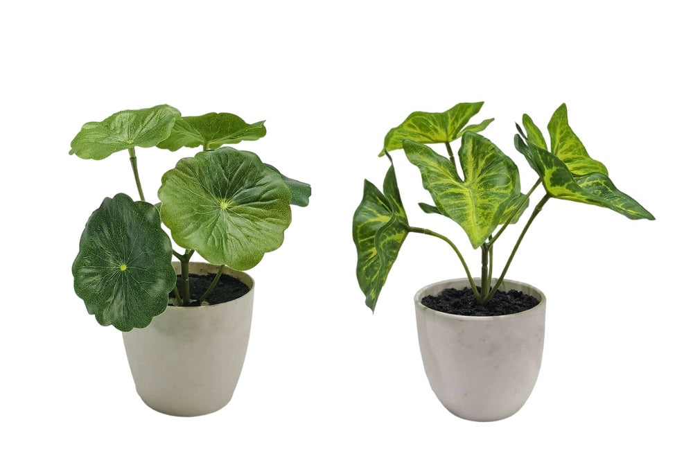 Set of 2 Artificial Taro & Lotus Plants in Plastic Pots 7x15cm - Multi Colour