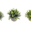 Set of 3 Artificial Plants in Cement Pots 18cm - Green