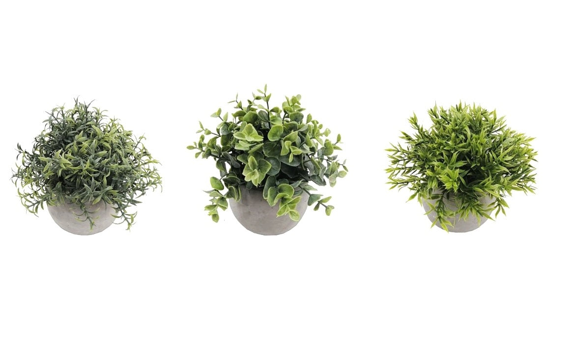 Set of 3 Artificial Plants in Cement Pots 18cm - Green