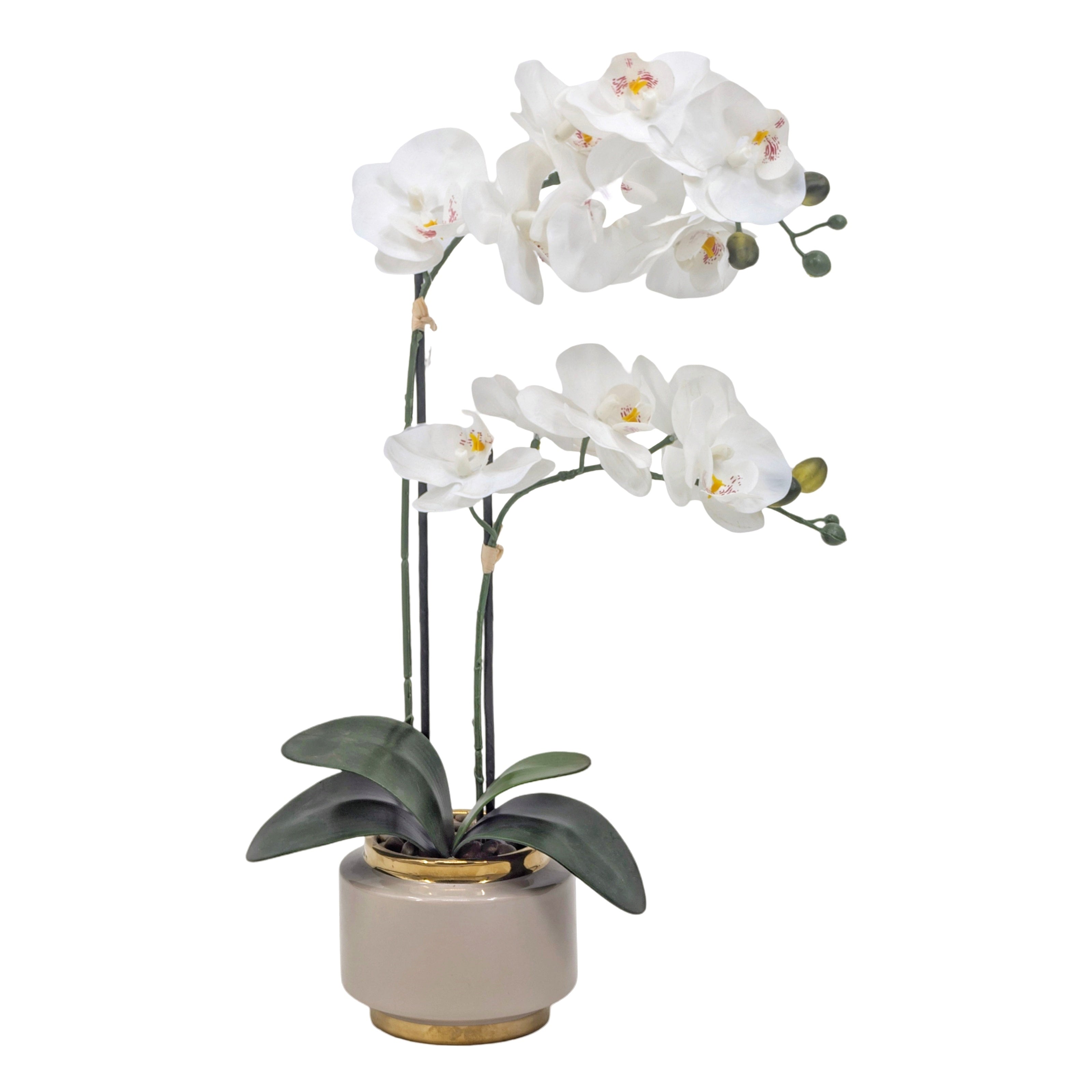Artificial Orchid Pot 50cm Real Touch - White