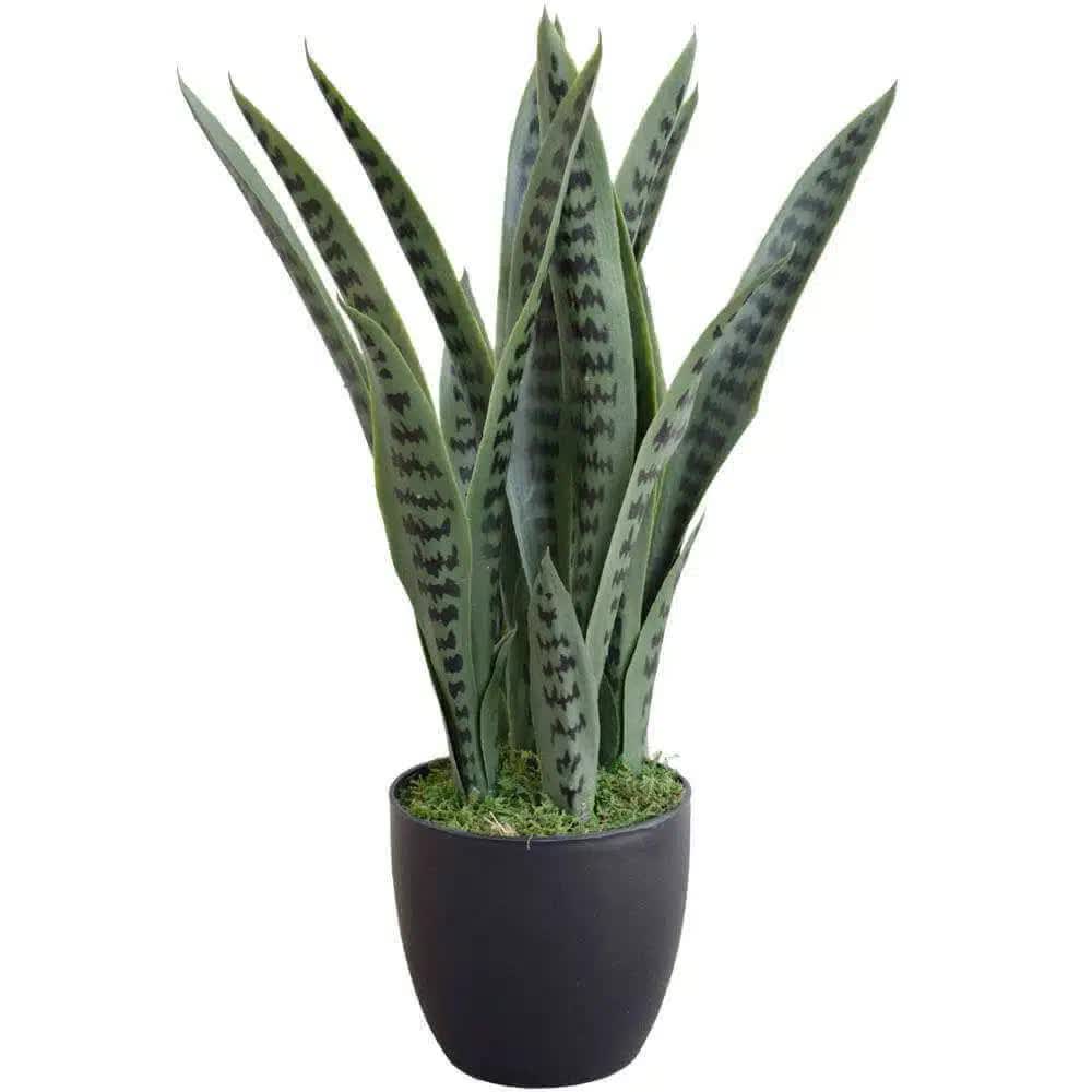 Artificial Snake Plant Sansevieria 60cm UV Resistant - Mixed Green with Black Markings