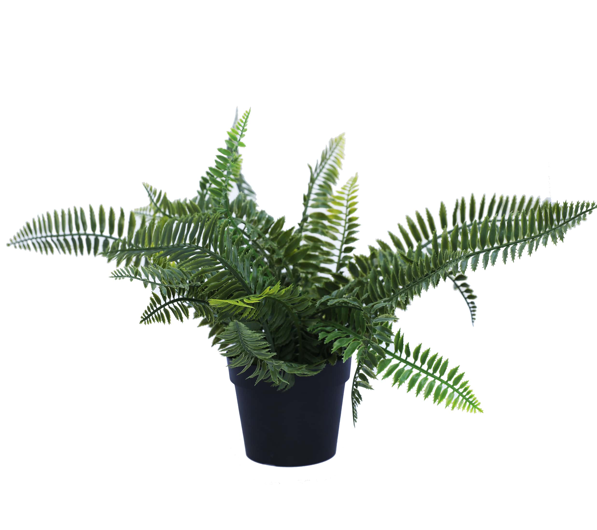 Small Potted Artificial Dark Green Fern Plant 20cm - Dark Green
