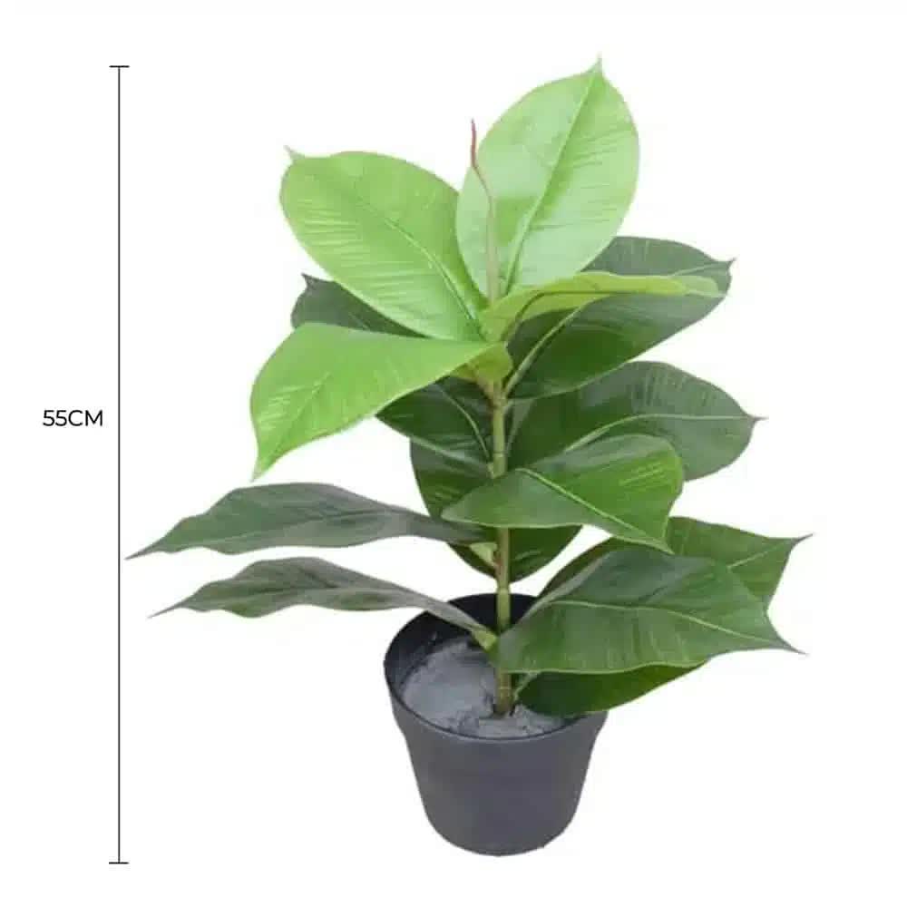Artificial Potted Rubber Plant 55cm - Green