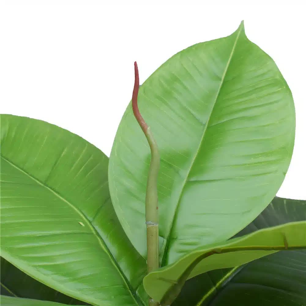 Artificial Potted Rubber Plant 55cm - Green