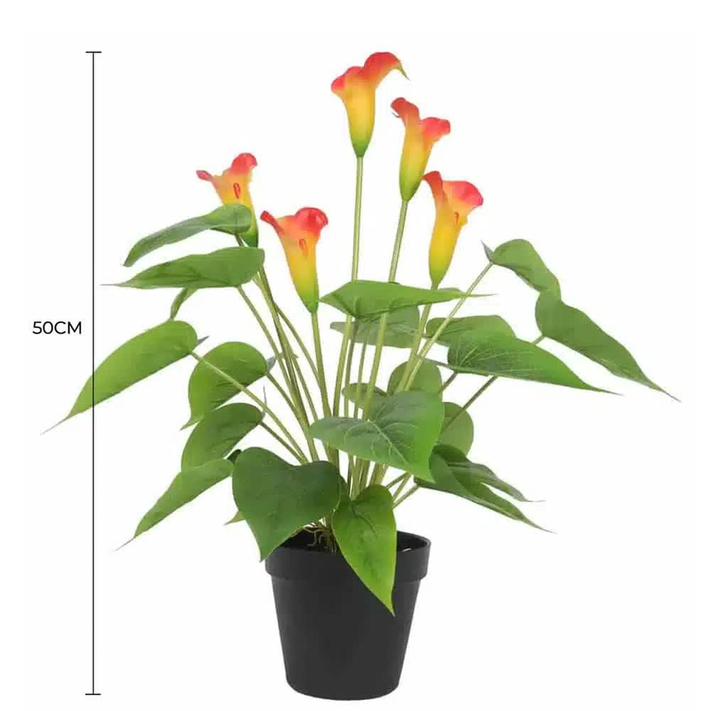 Artificial Flowering Peace Lily Calla Lily Plant 50cm - White & Orange