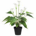 Artificial Flowering Peace Lily Plant 50cm - White