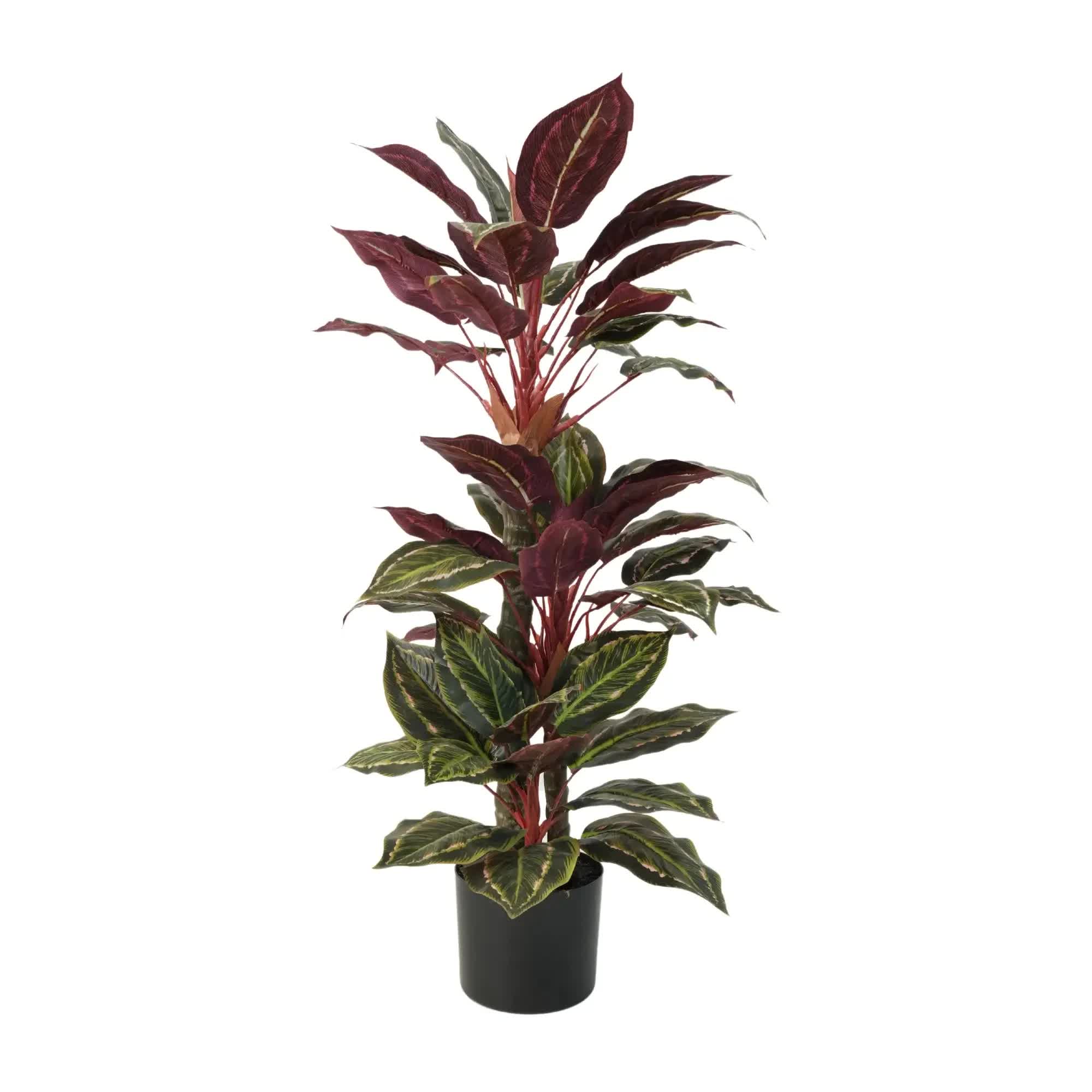 Artificial Wide Leaf Cordyline Plant 90cm - Green