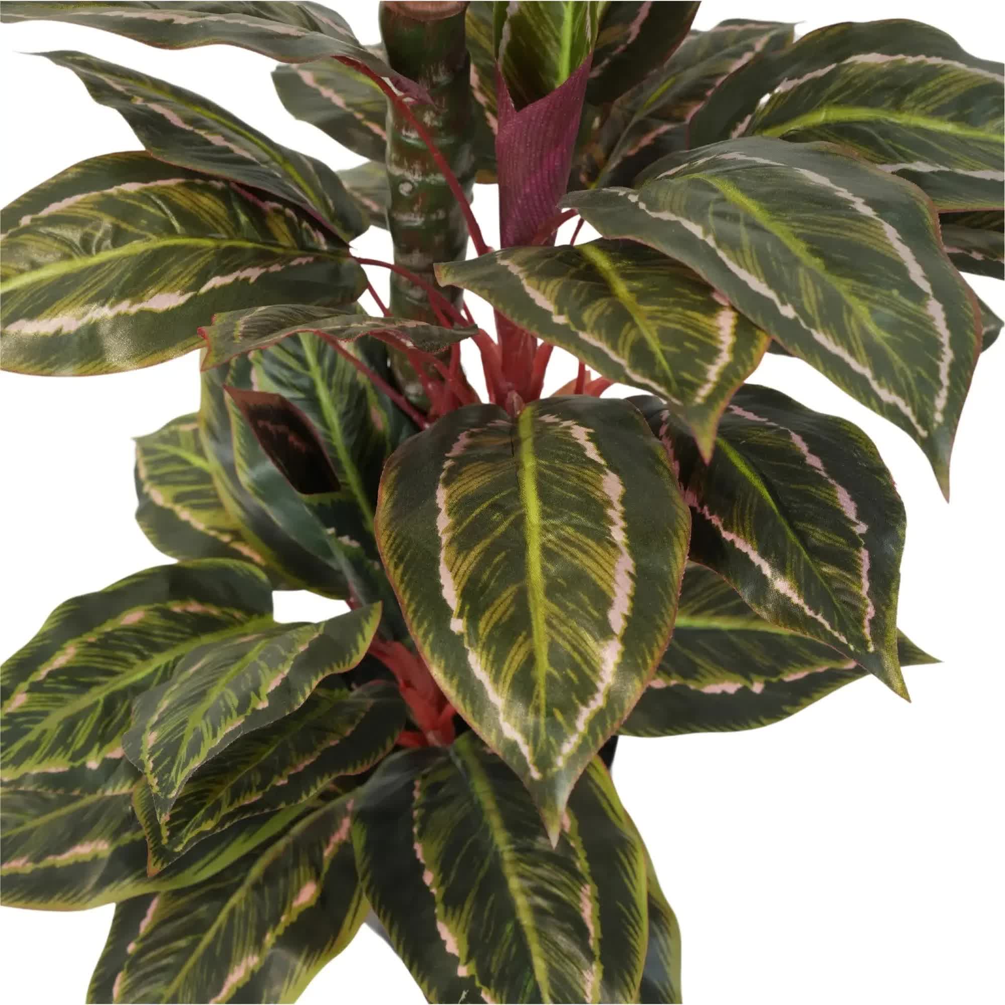 Artificial Wide Leaf Cordyline Plant 90cm - Green