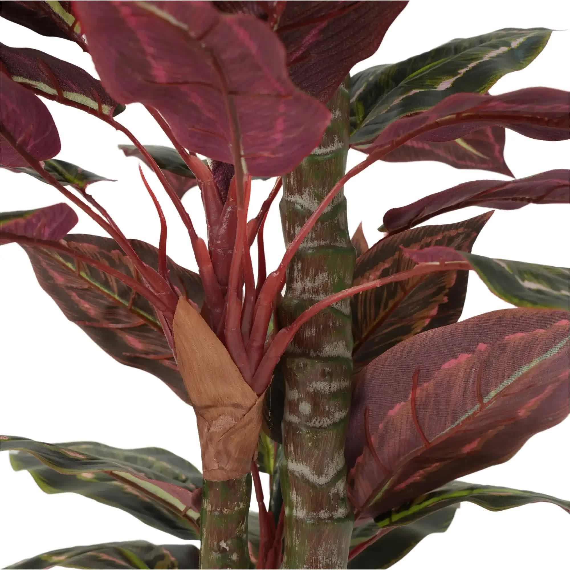 Artificial Wide Leaf Cordyline Plant 90cm - Green