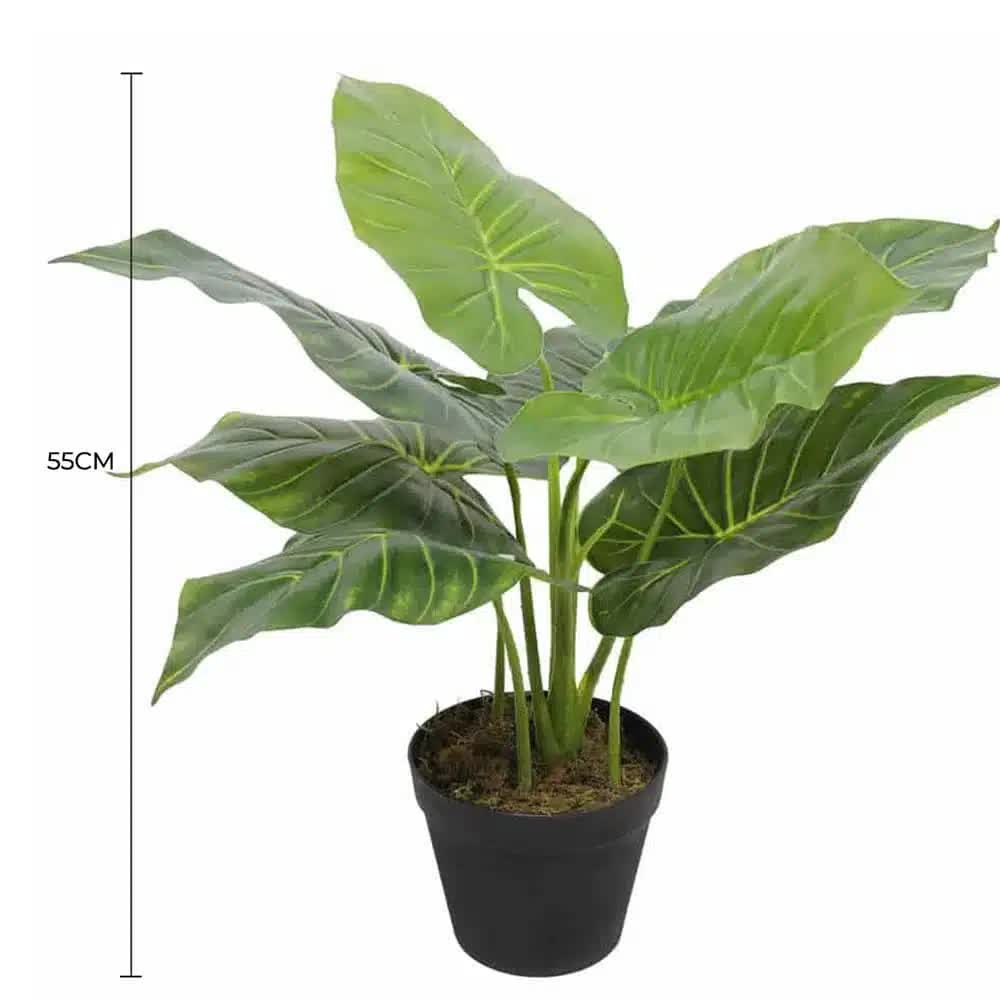 Artificial Potted Taro Plant 55cm - Green