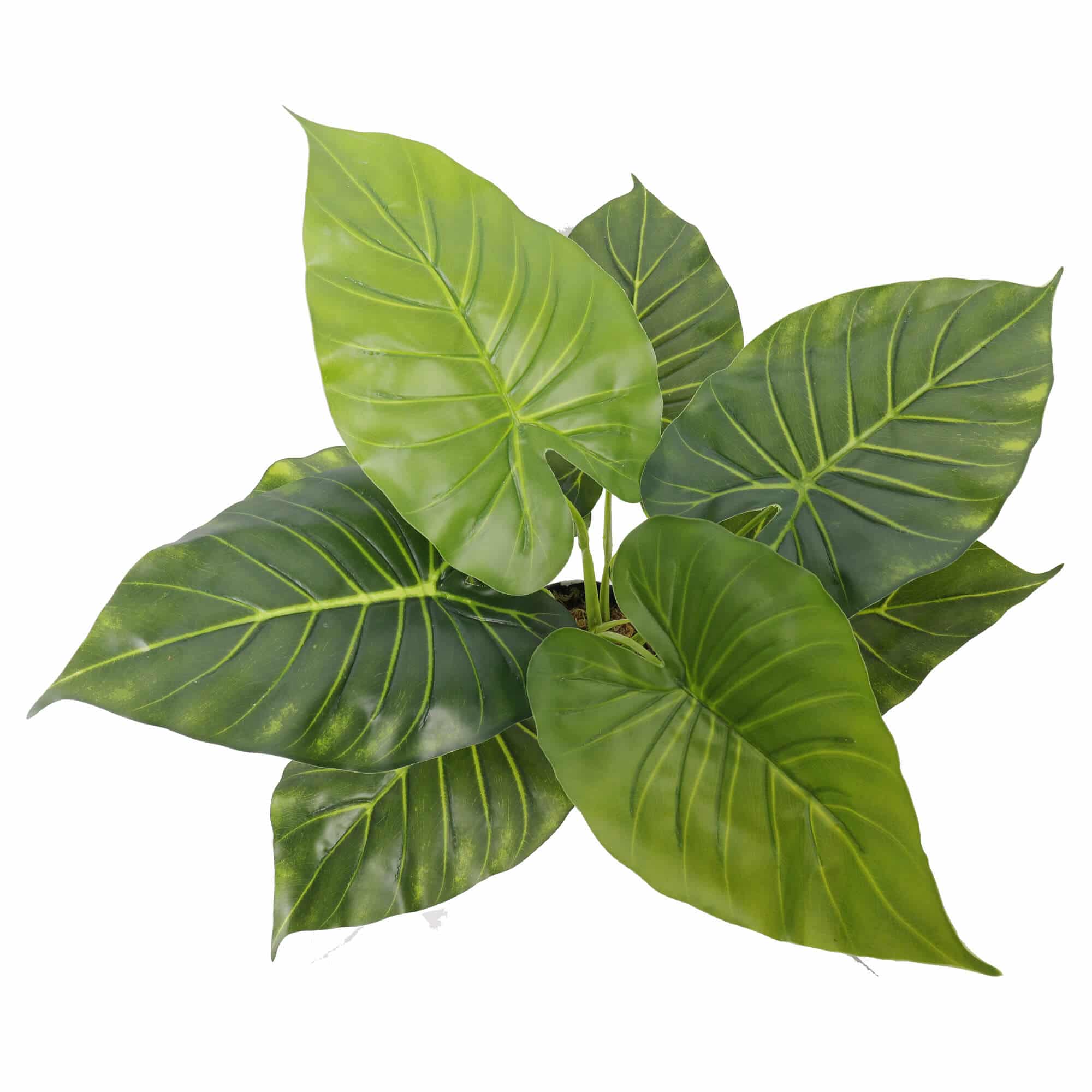 Artificial Potted Taro Plant 55cm - Green