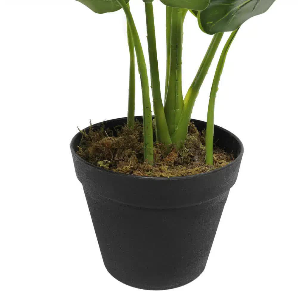 Artificial Potted Taro Plant 55cm - Green