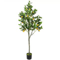 Artificial Lemon Tree Potted 150cm with Lemons - Green & Yellow