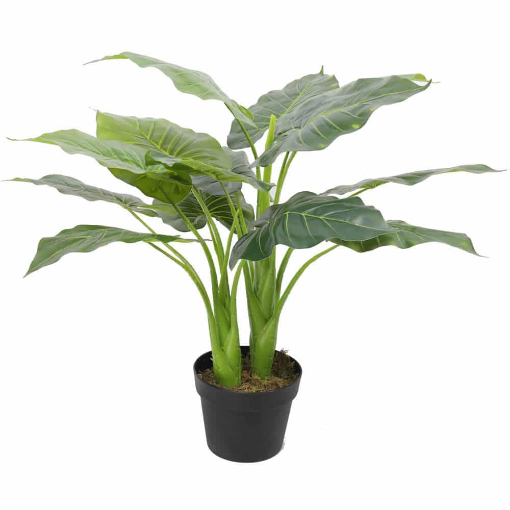 Artificial Potted Taro Plant 70cm Elephant Ear - Green