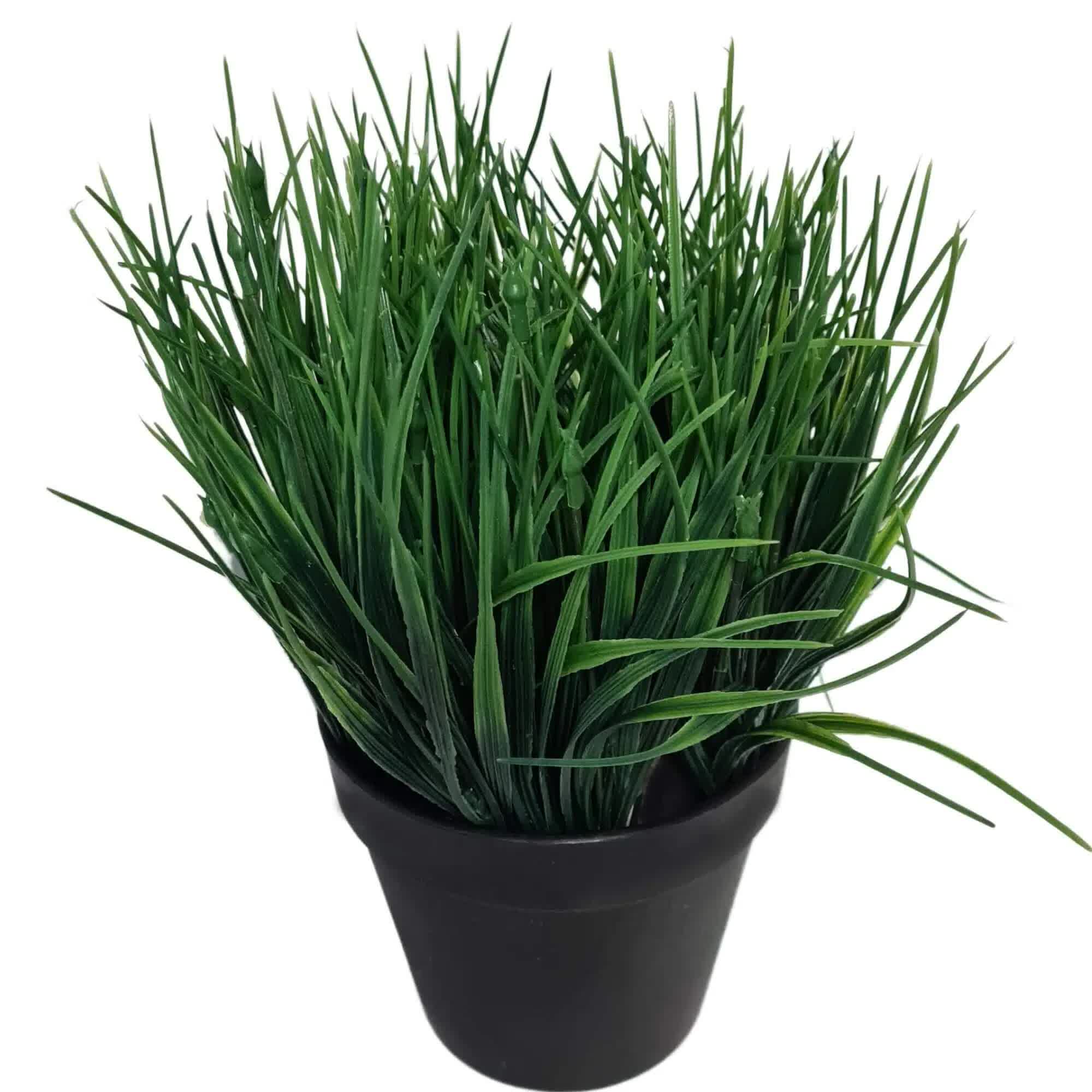Potted Ornamental Artificial Mondo Dense Green Grass 30cm UV Resistant - Green