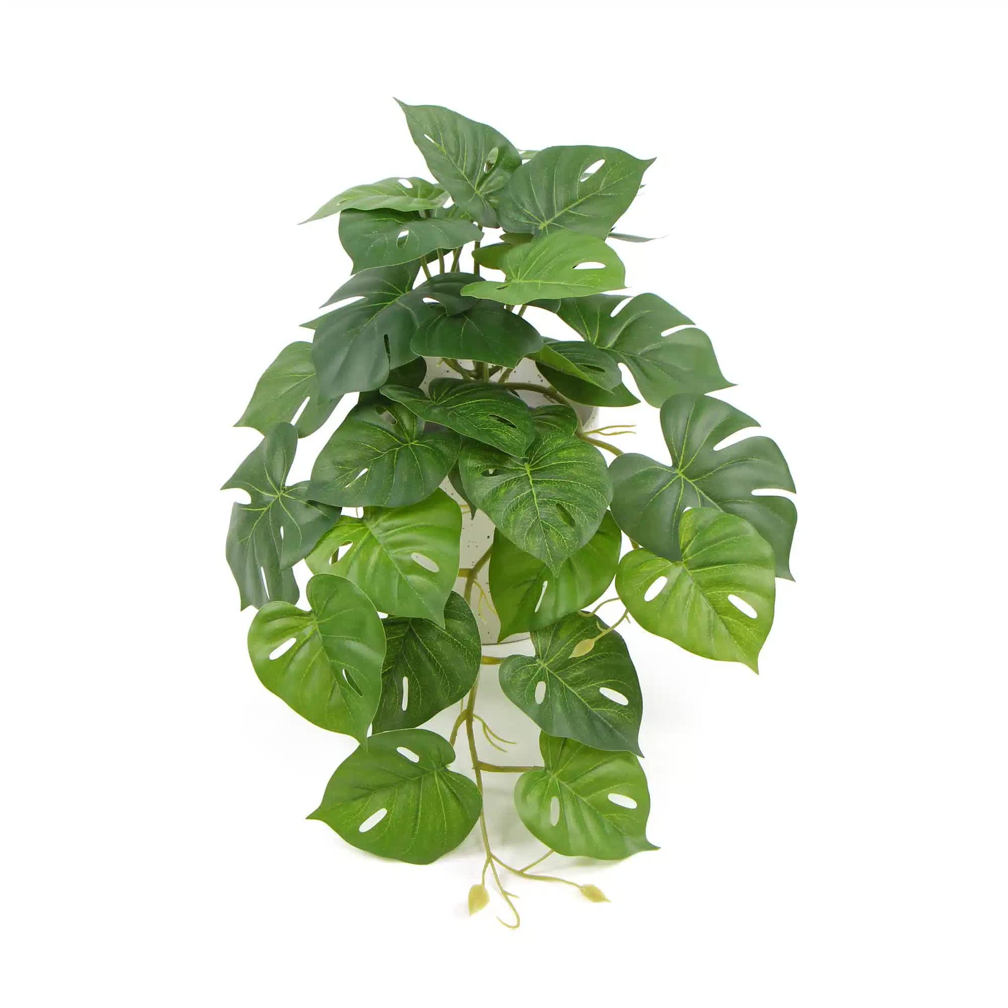Artificial Monstera Adansonii Plant 30cm in Ceramic Bowl - Green
