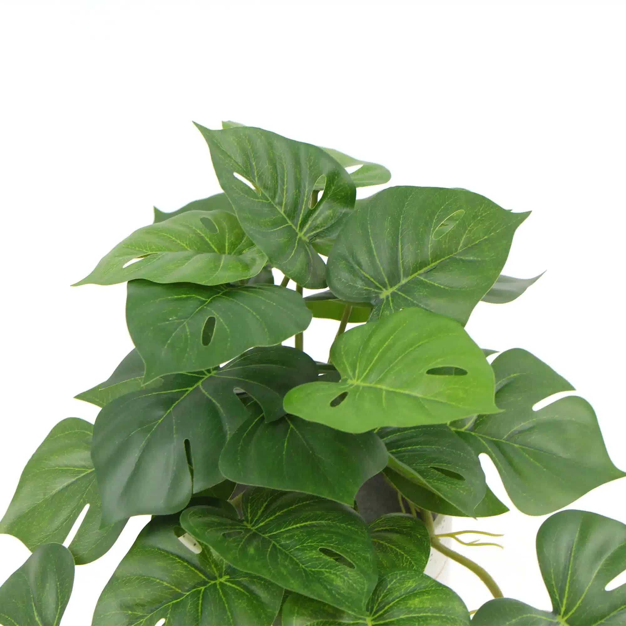 Artificial Monstera Adansonii Plant 30cm in Ceramic Bowl - Green