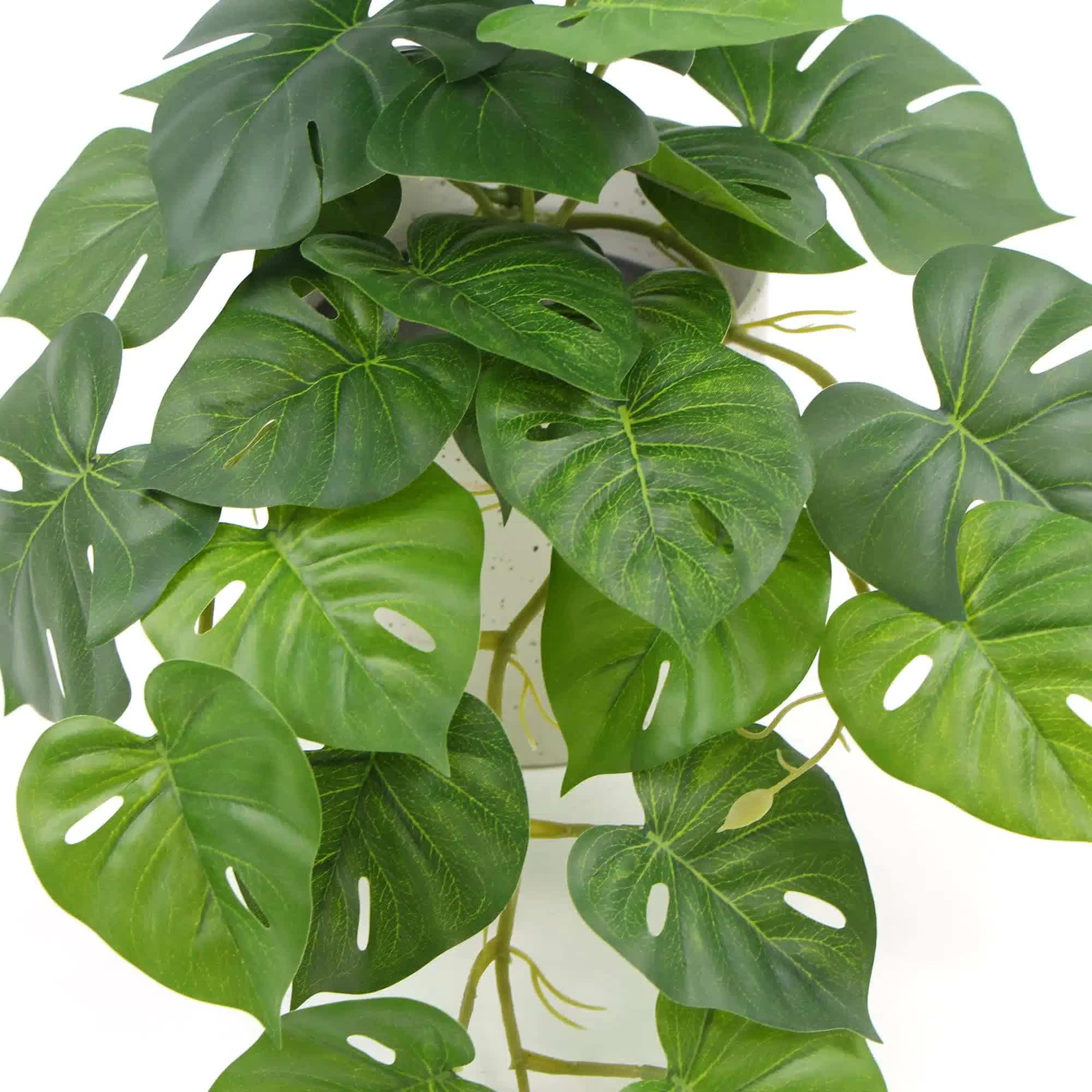 Artificial Monstera Adansonii Plant 30cm in Ceramic Bowl - Green