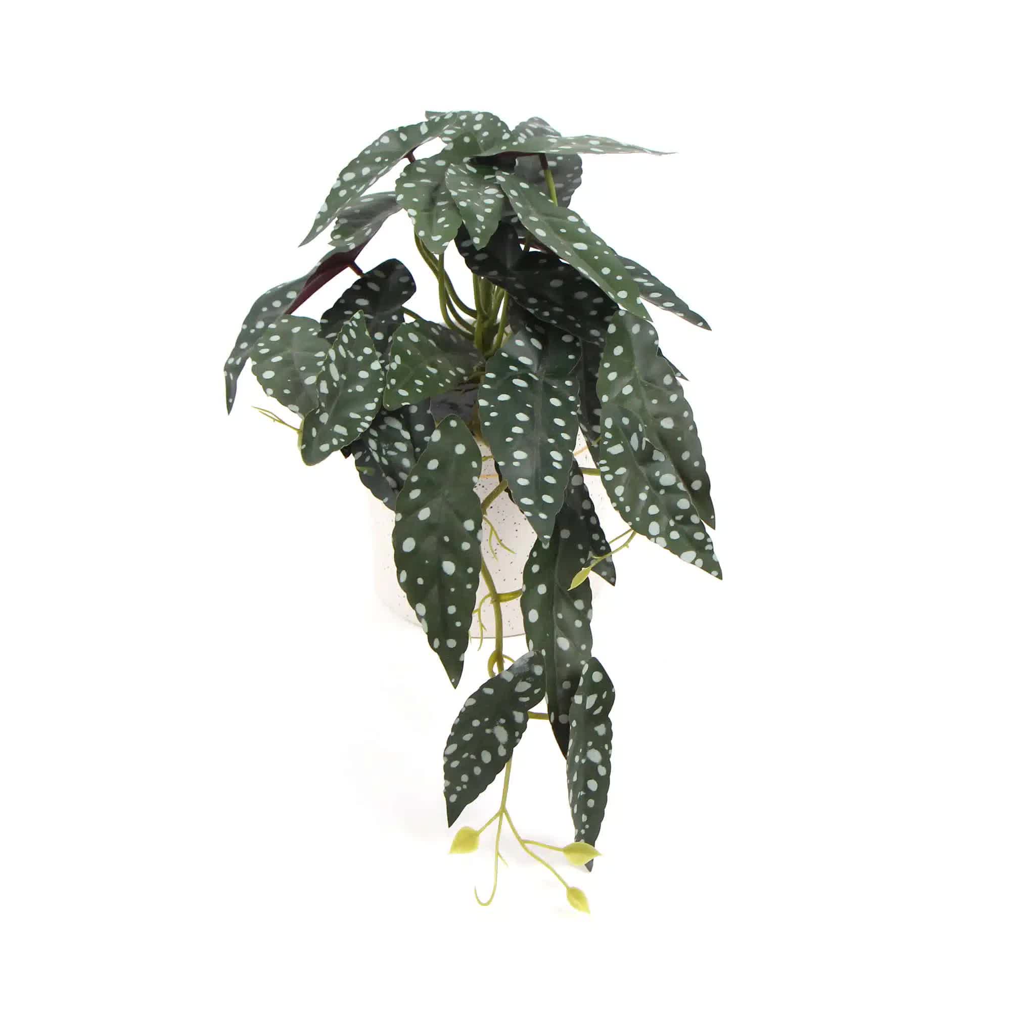 Artificial Begonia Maculata Plant in Decorative Bowl 30cm - Green